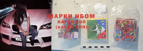 индика Богородск