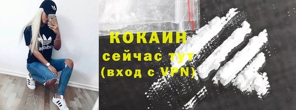 индика Богородск