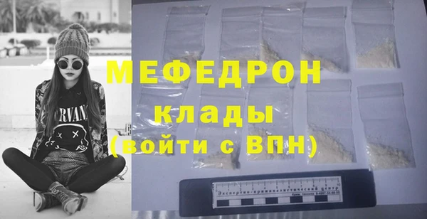 индика Богородск