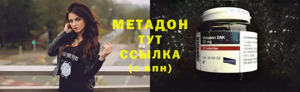 индика Богородск