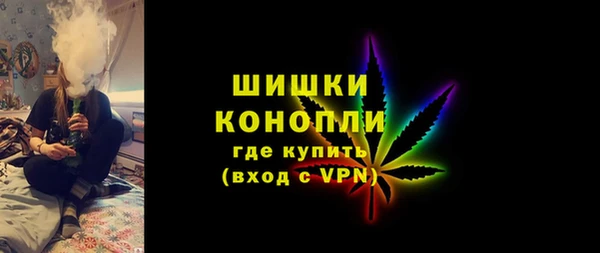 индика Богородск