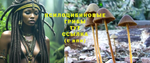 индика Богородск