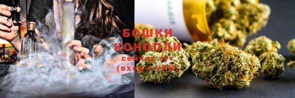 дживик Богородицк