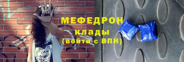 индика Богородск