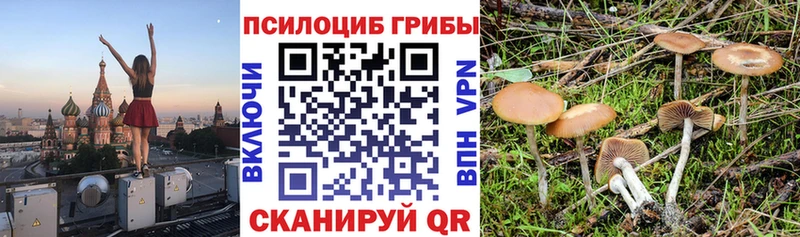 Псилоцибиновые грибы ЛСД  Бронницы 